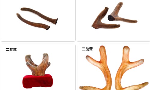 糖尿病会引起健忘症状吗-糖尿病人健忘网—知名的糖尿病人健忘怎么回事网站,分享糖尿病健忘能治好吗知识